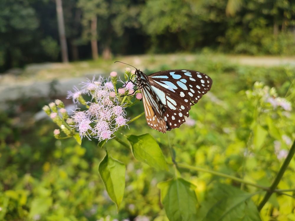 Photograph by Mehedi Hasan