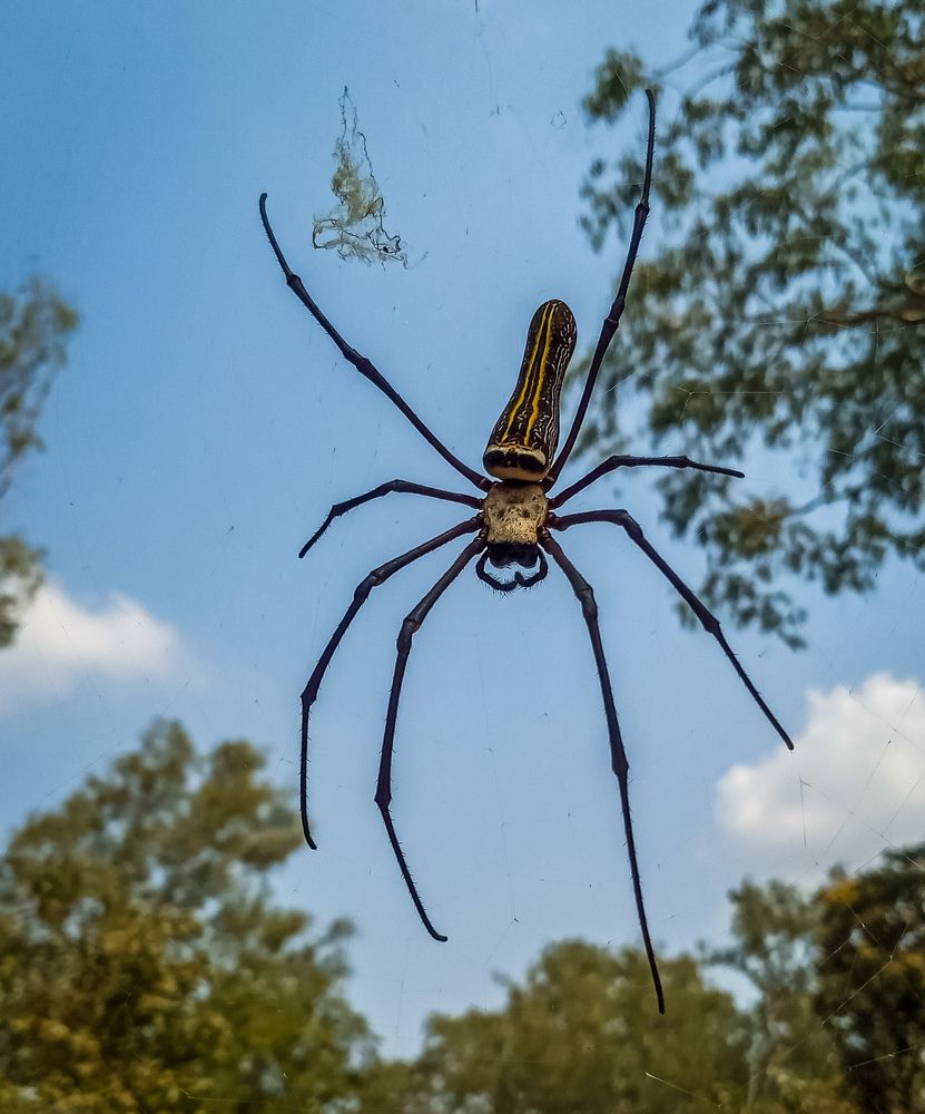 Photograph by Vijayakumar