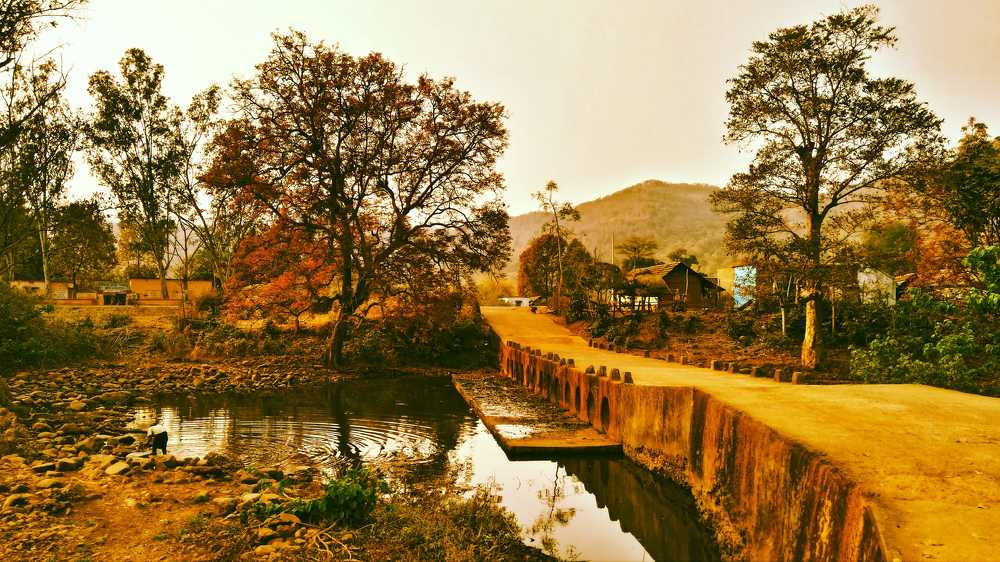 Photograph by SAMARJEET BEHERA