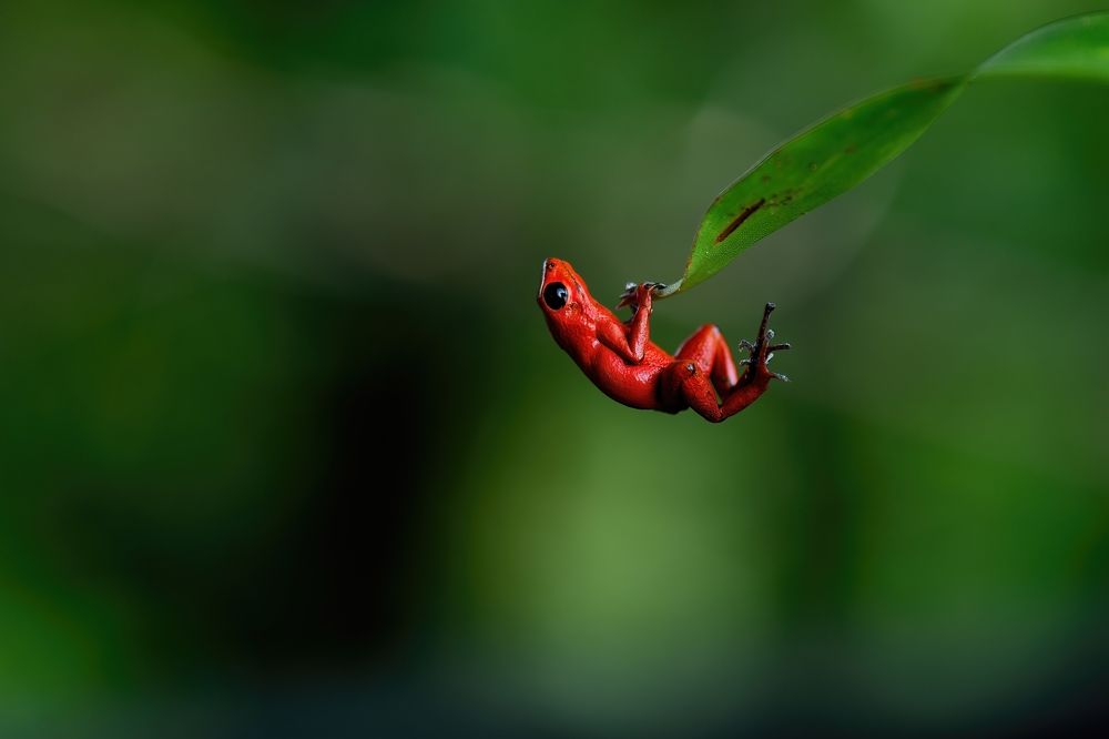 Photograph by Morring David