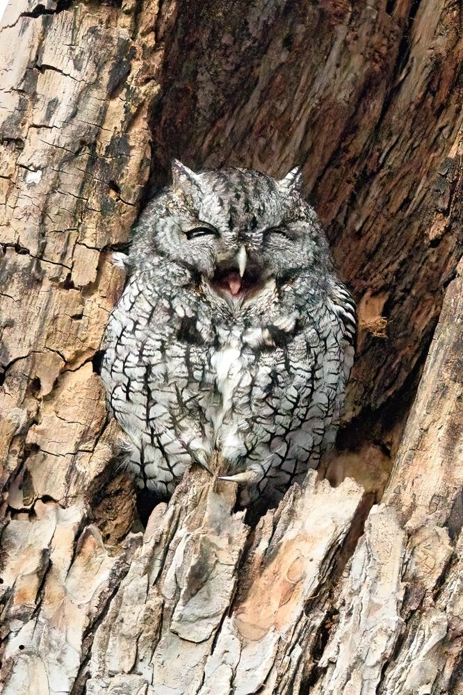 Photograph by Morring David