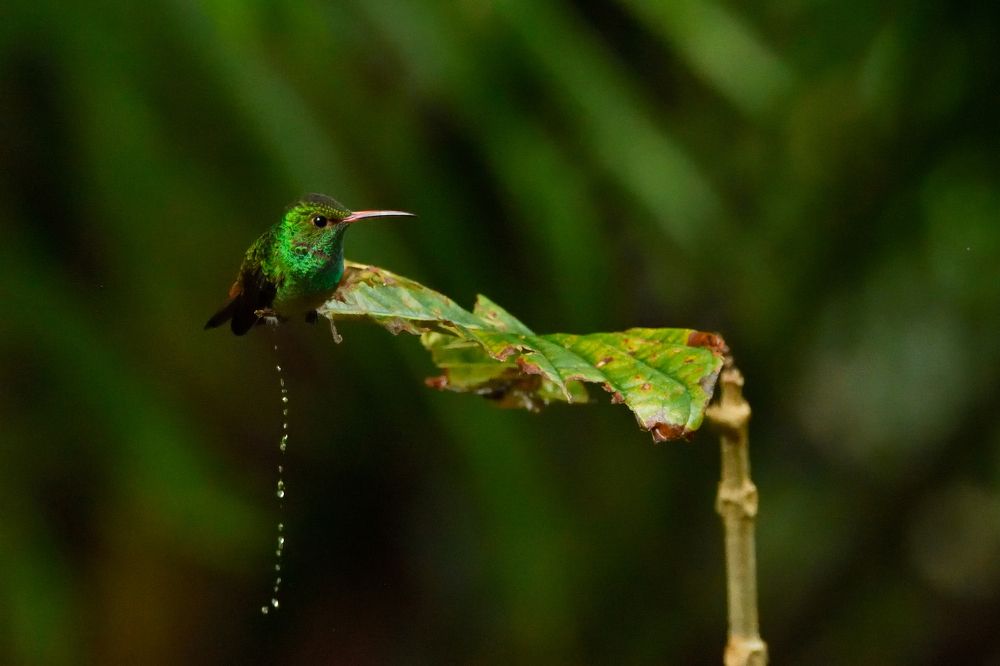 Photograph by Morring David