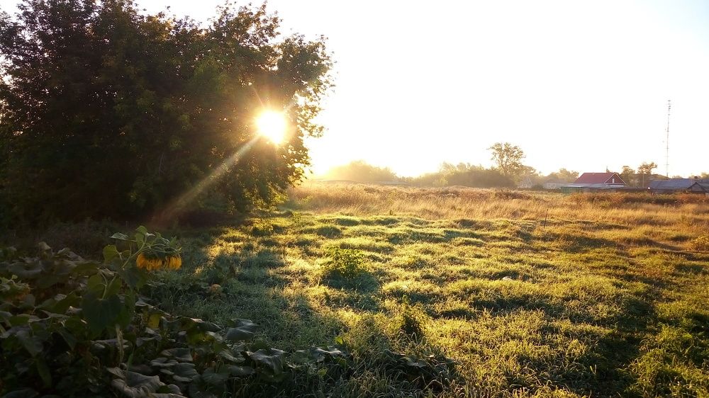 Photograph by Павел Дорогин