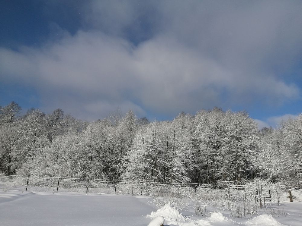 Photograph by Александр Чечёткин