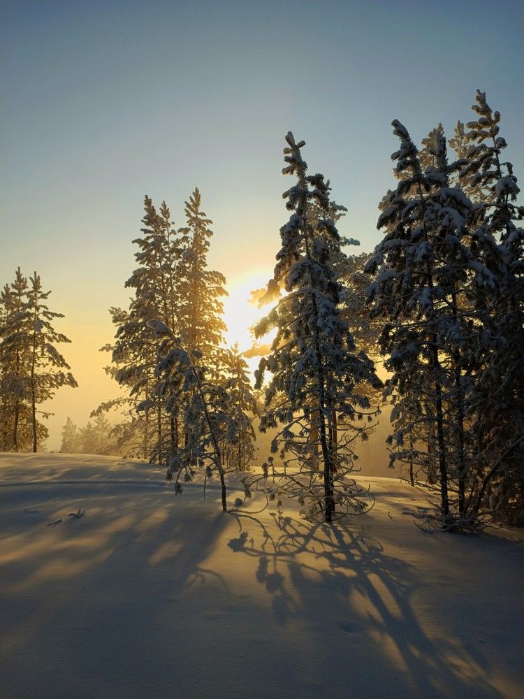 Photograph by Женя Евсеева