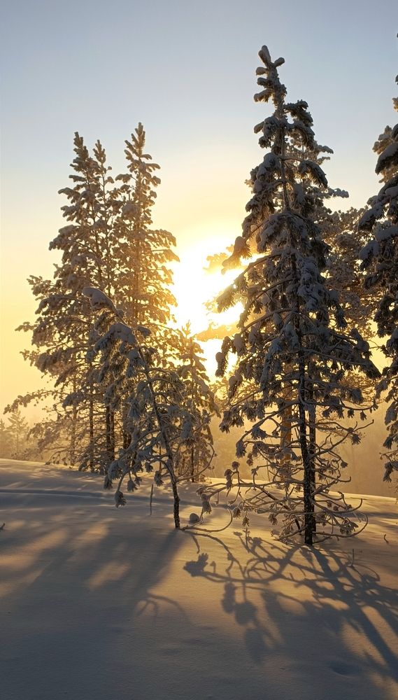 Photograph by Женя Евсеева