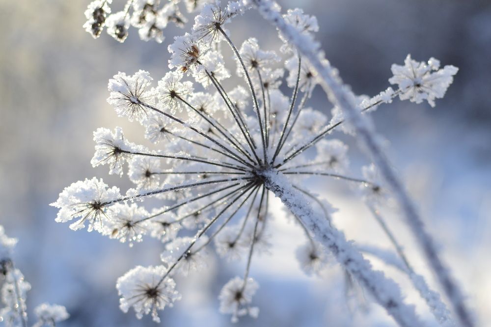 Photograph by Сергей