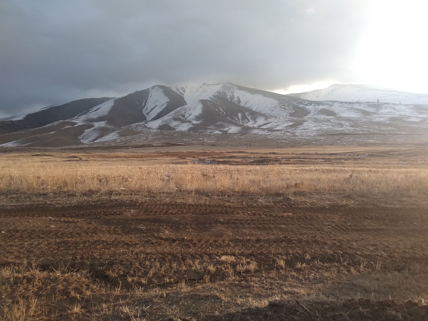 Photo #6982992