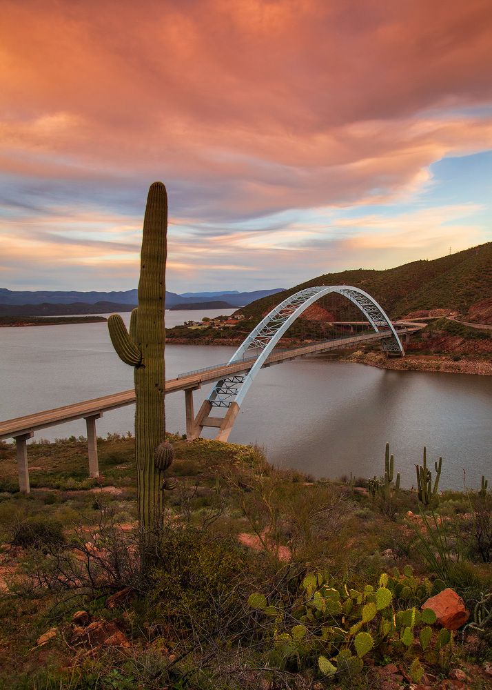 Photograph by Lana Anferow