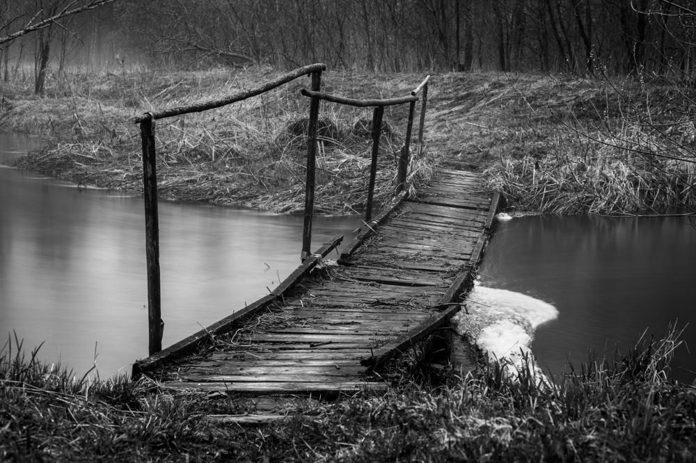 Photograph by Алексей Худяков