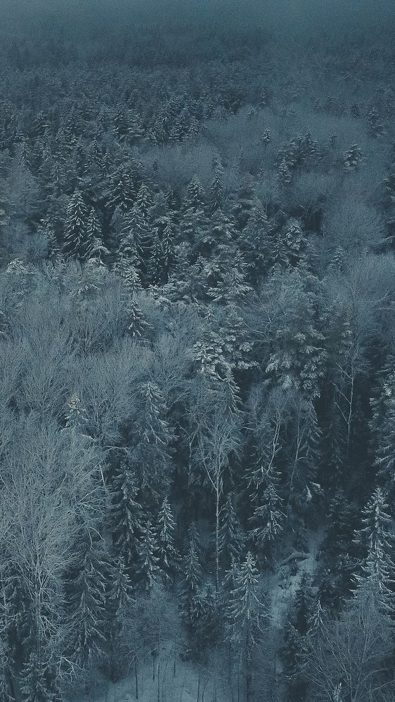 Photograph by Артём Малышев