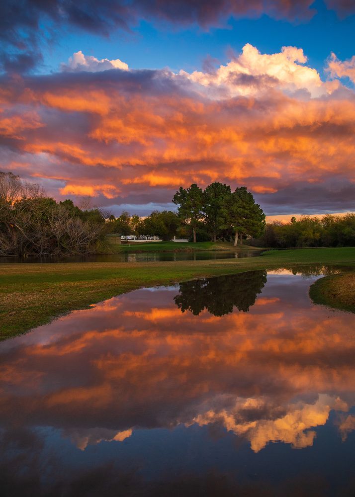 Photograph by Lana Anferow