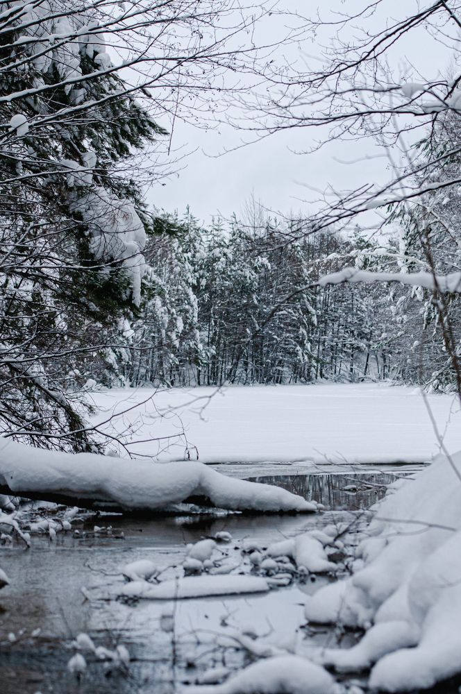 Photograph by Динара Зуйкова