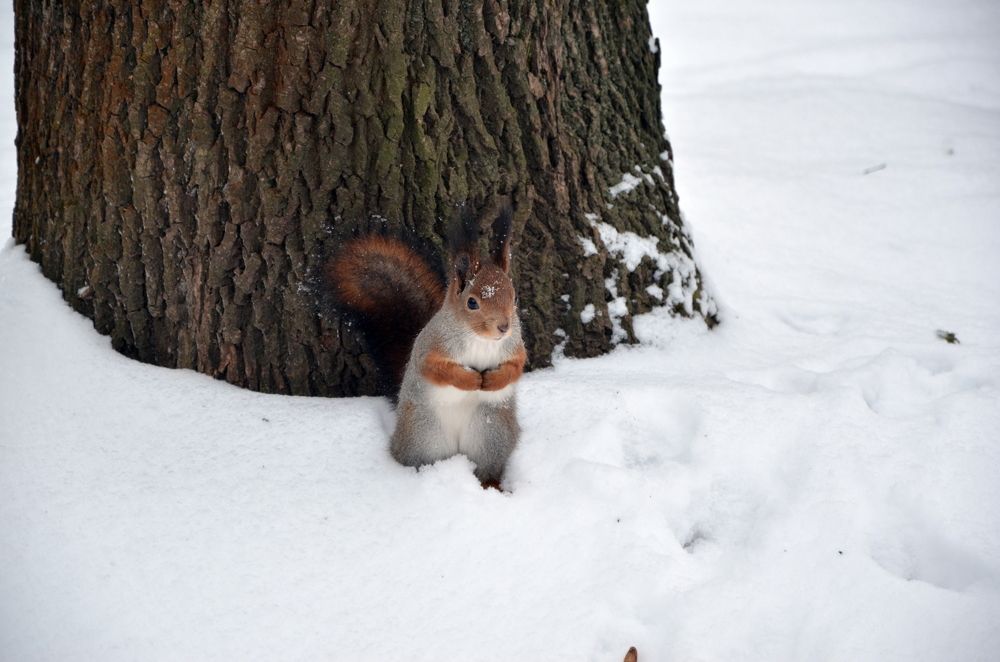 Photograph by Ольга Зиновьева
