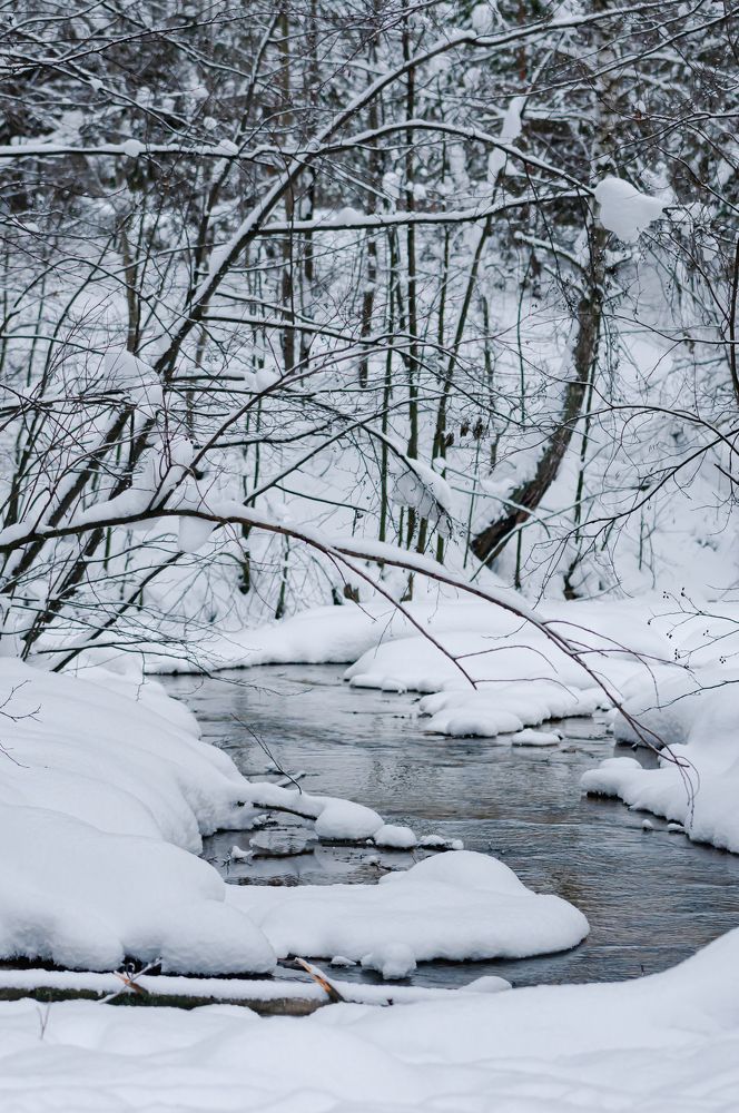 Photograph by Динара Зуйкова