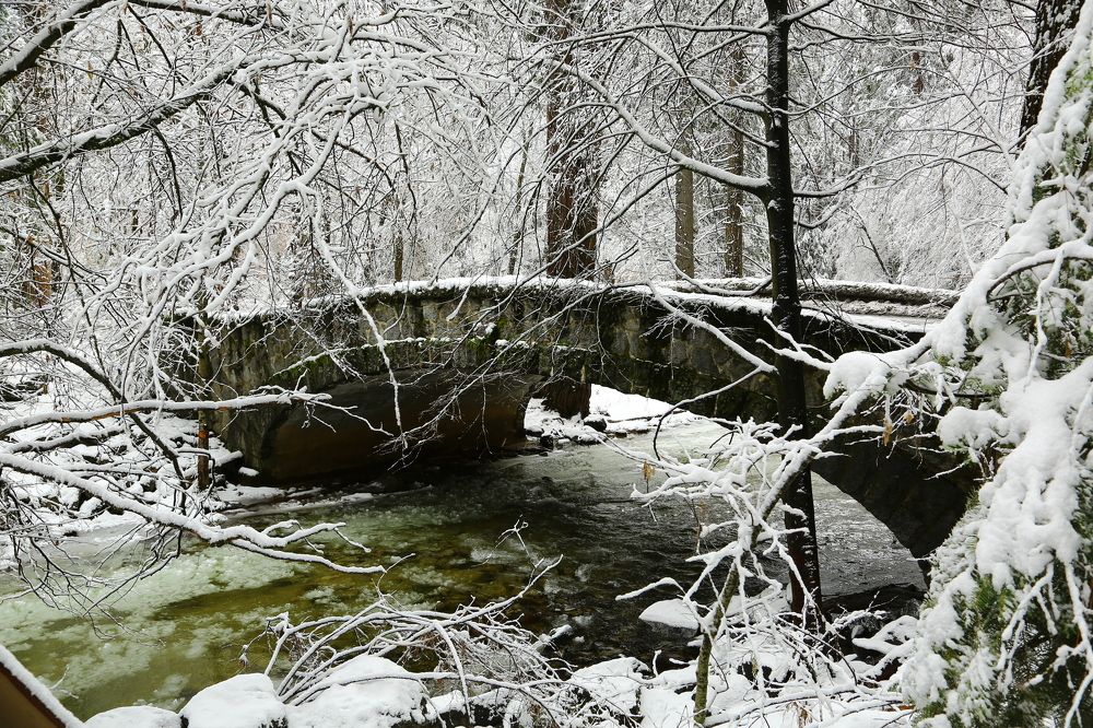 Photograph by Андрей Степанов