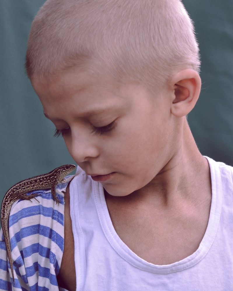 Дружба (friendship)