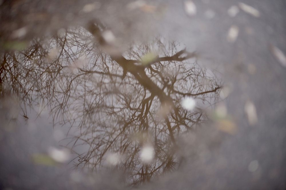 Photograph by Анастасия Барышева