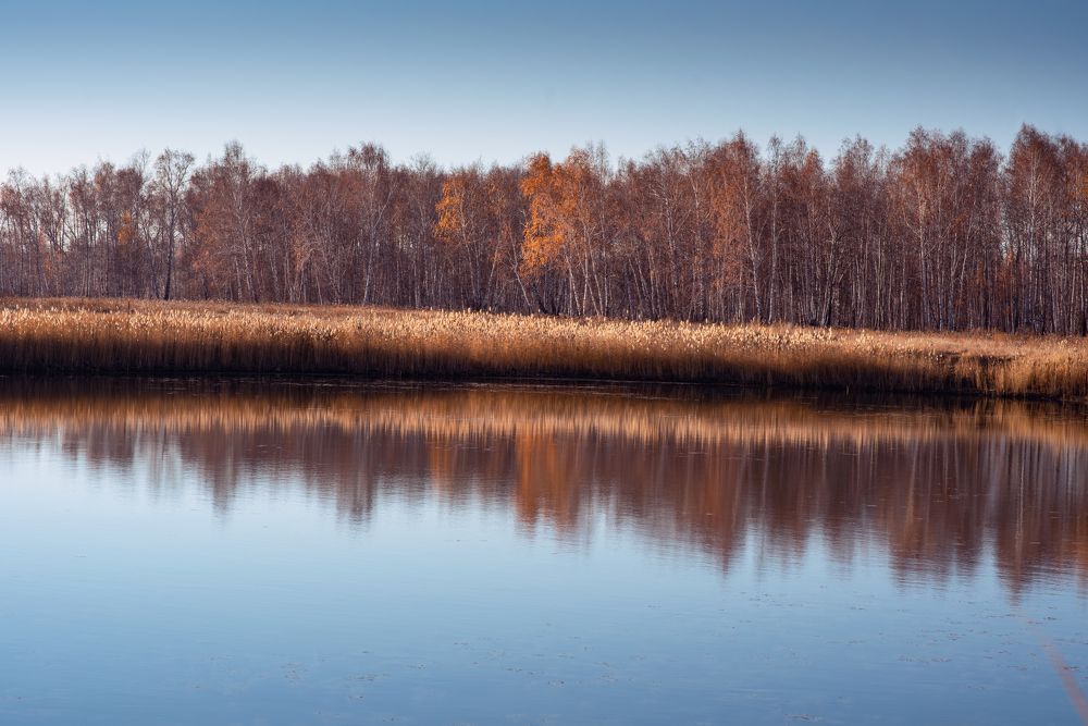 Photograph by Олег Зальвовский