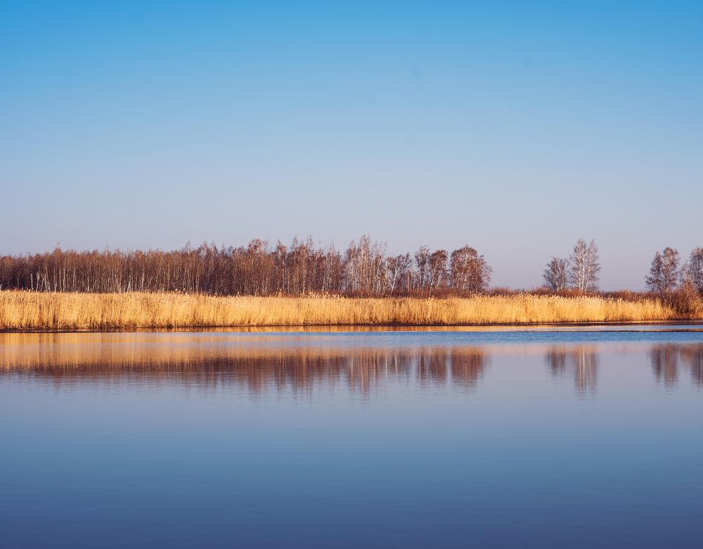 Photograph by Олег Зальвовский