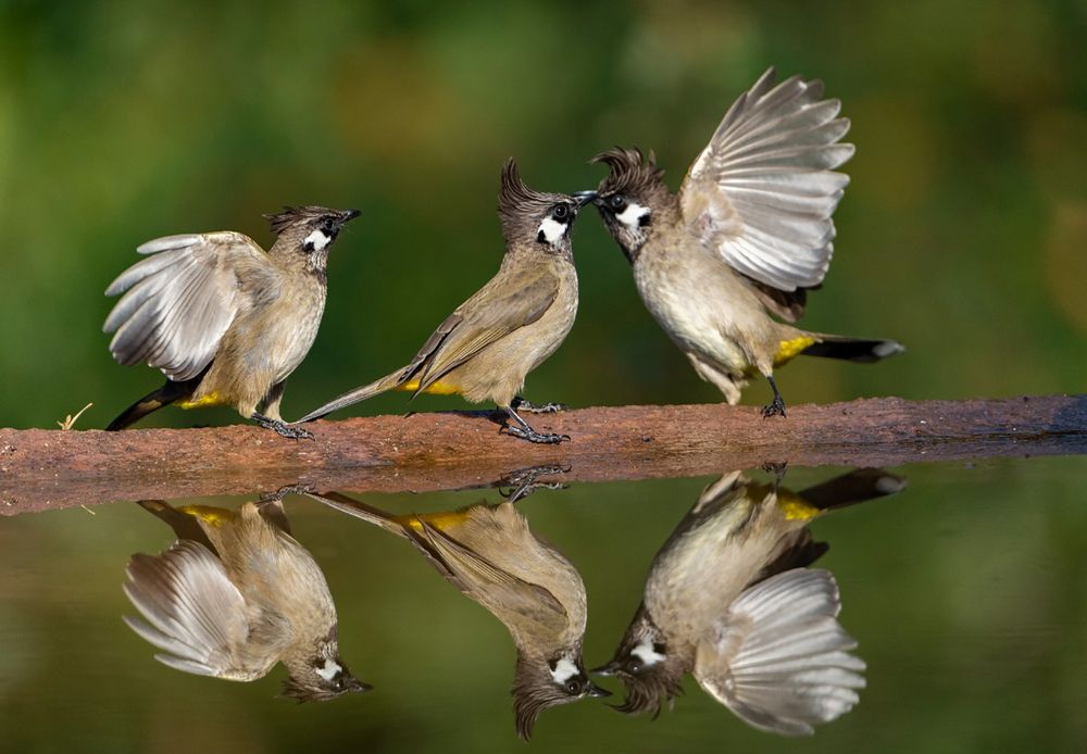 Photograph by Preet saluja