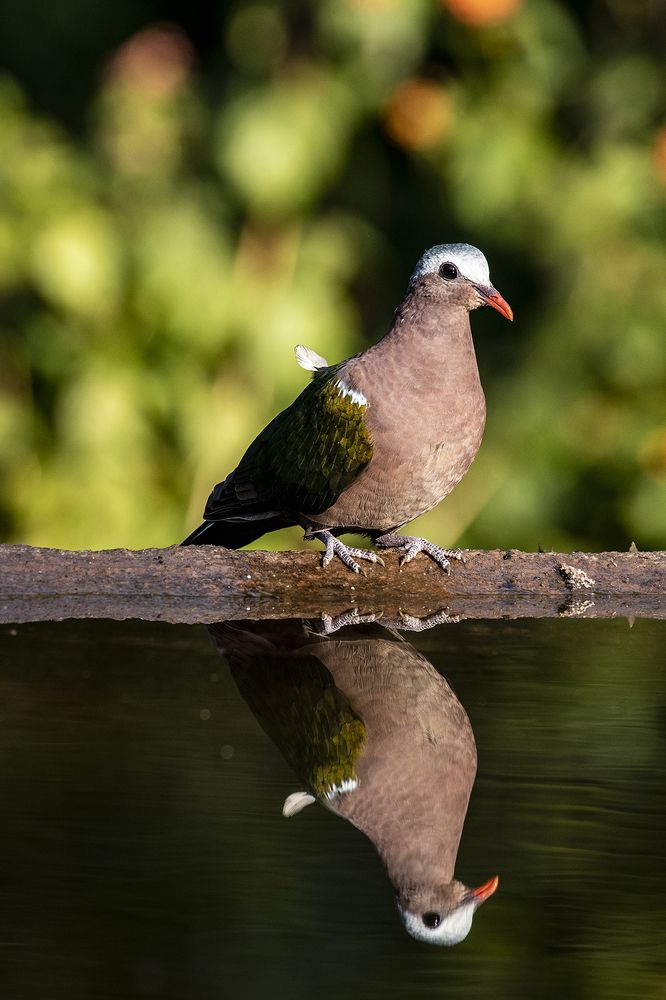 Photograph by Preet saluja