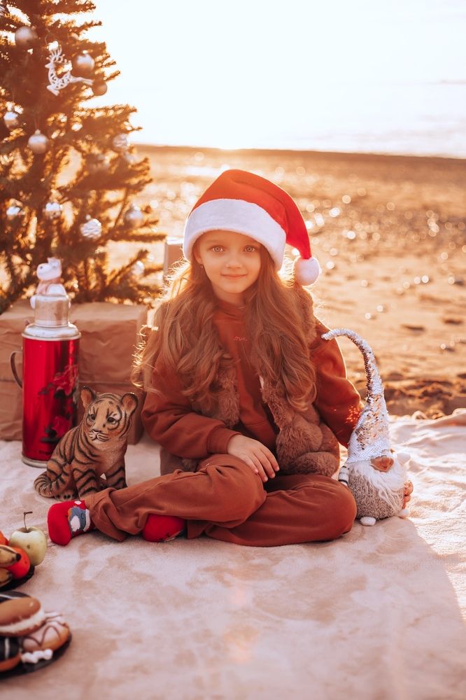 Новогодний гном