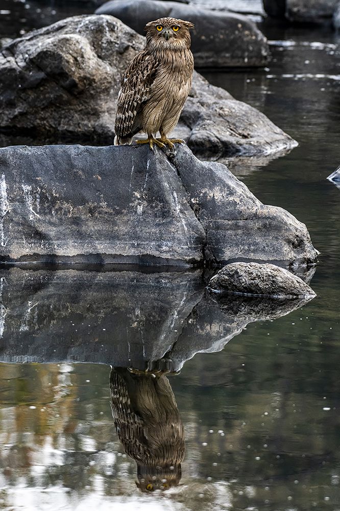 Photograph by Preet saluja