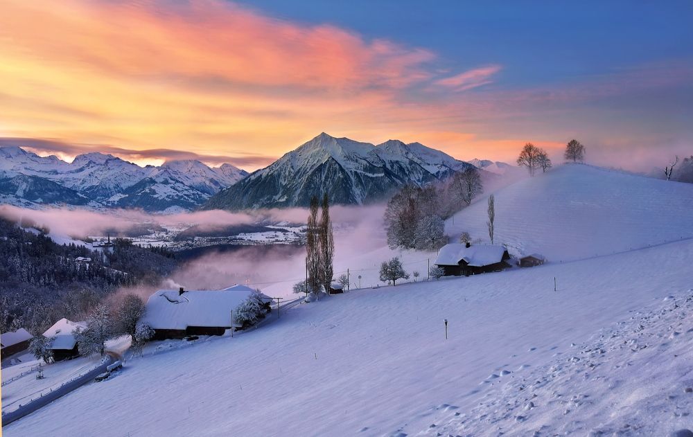 Photograph by Elena Wymann