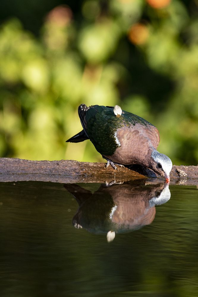 Photograph by Preet saluja