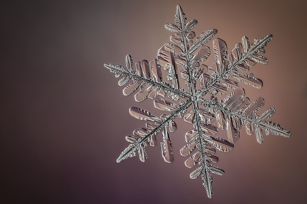 Photograph by андрей захаров