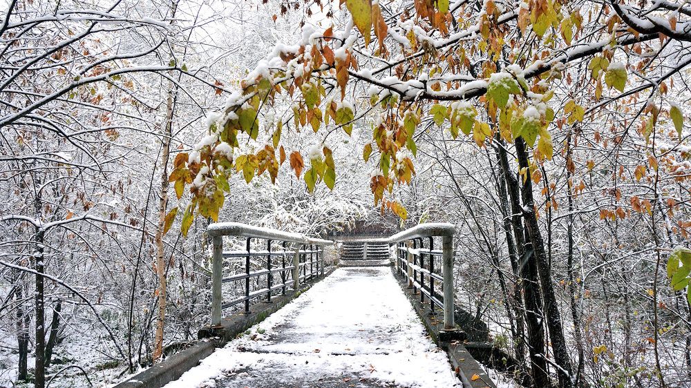 Мост через ручей Лалетин