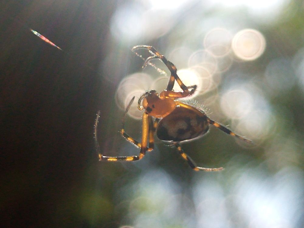 Photograph by Khairul Zamzami