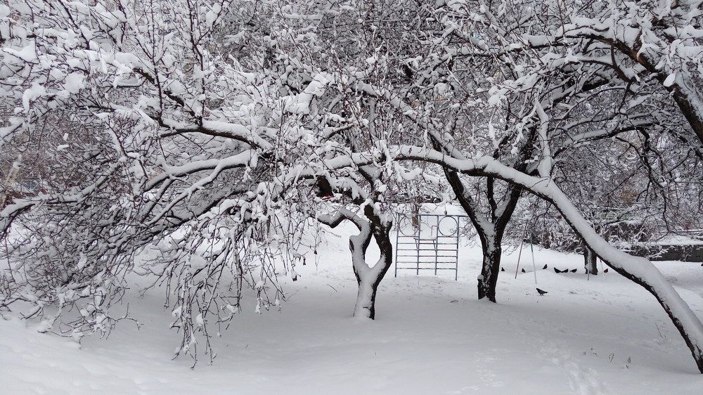 Photo #6983438