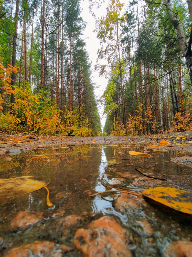 Photograph by Дмитрий Чечулин