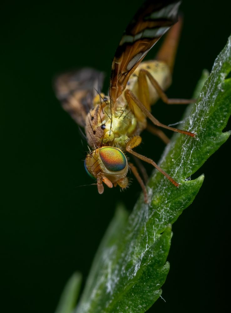 Photograph by Глеб Коровко