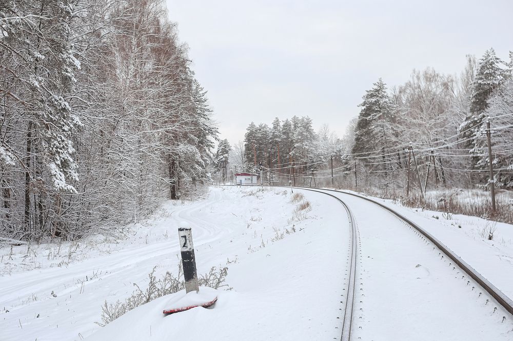 Photograph by Светлана Болотнова