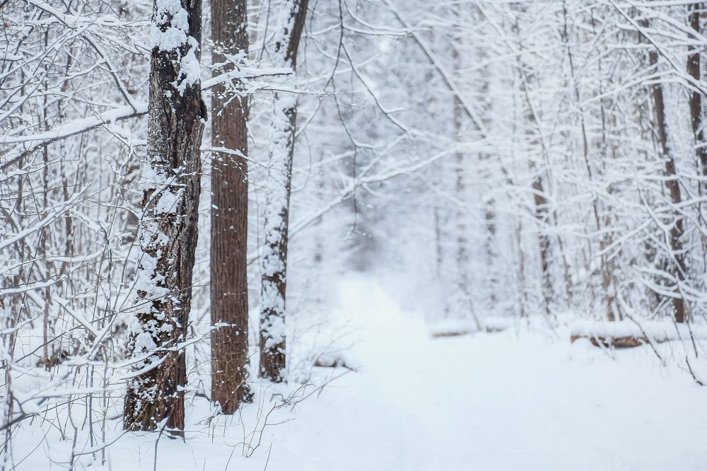 Photograph by Светлана Болотнова