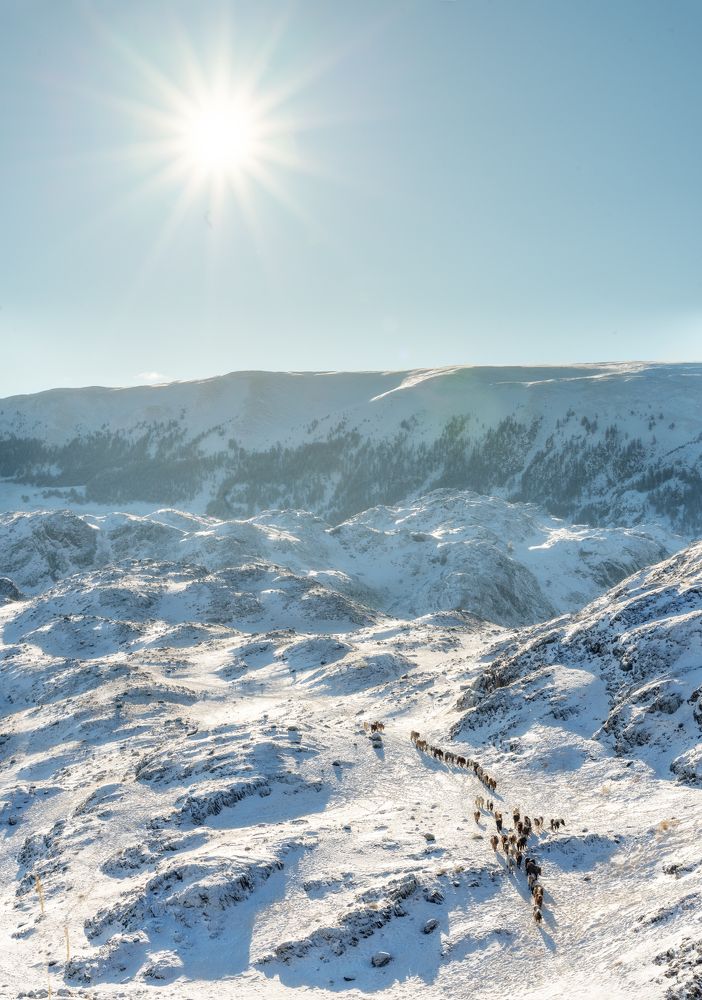 Photograph by Руслан Нигматуллин