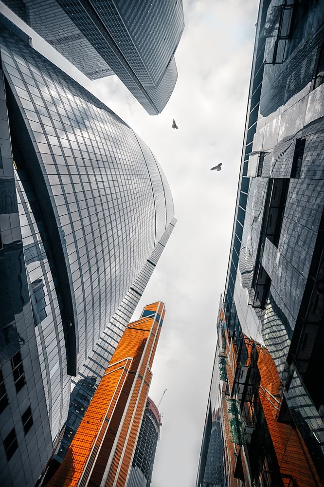 Photograph by Ирина Малина