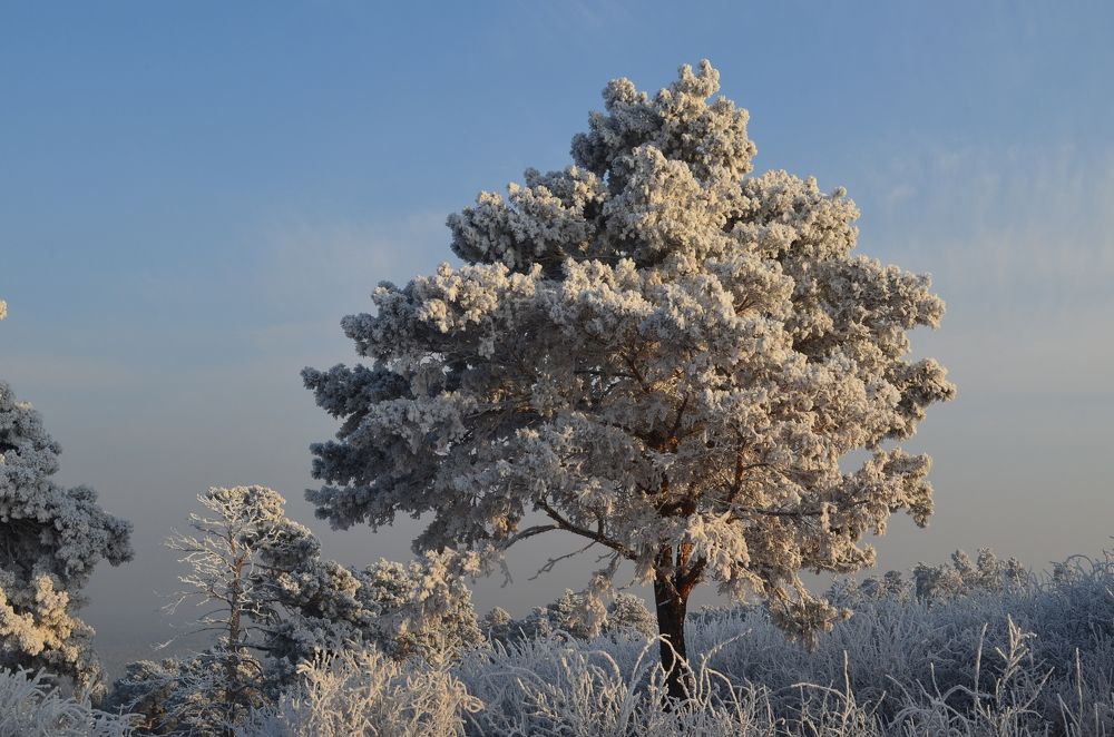 Photograph by Елена Кожевникова