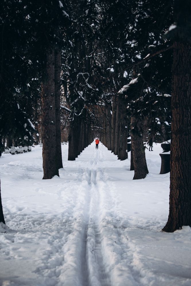 Фотография автора Илья Исаев