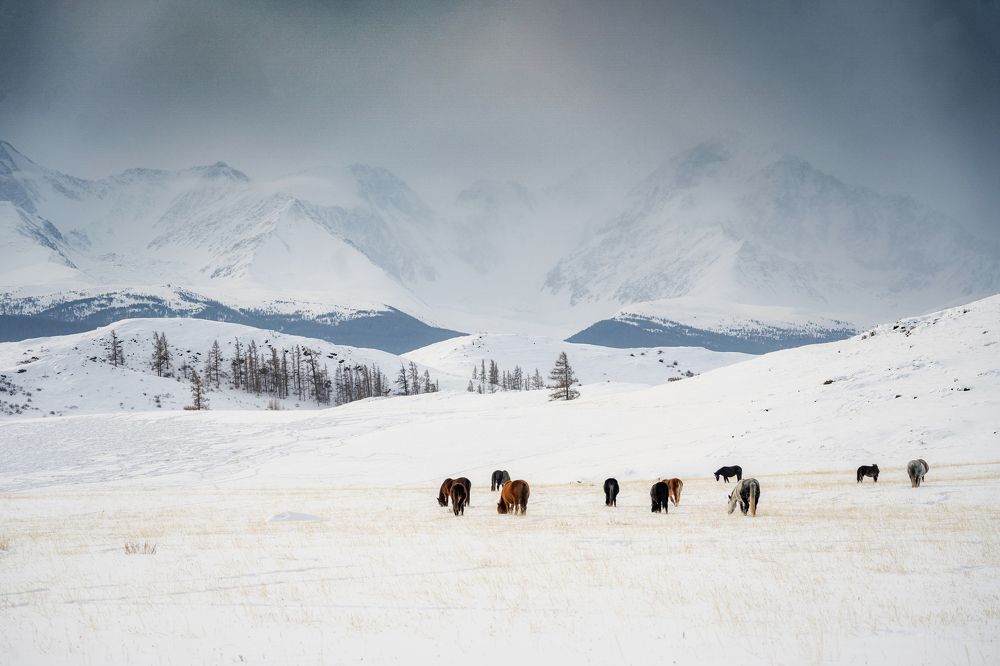 Photograph by Руслан Нигматуллин