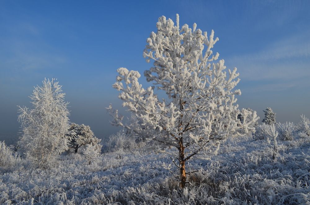 Photograph by Елена Кожевникова