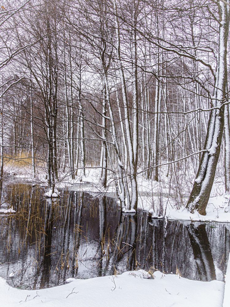 Photograph by Valdis Serzhans