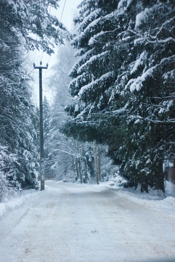 Photograph by Екатерина Амирасланова