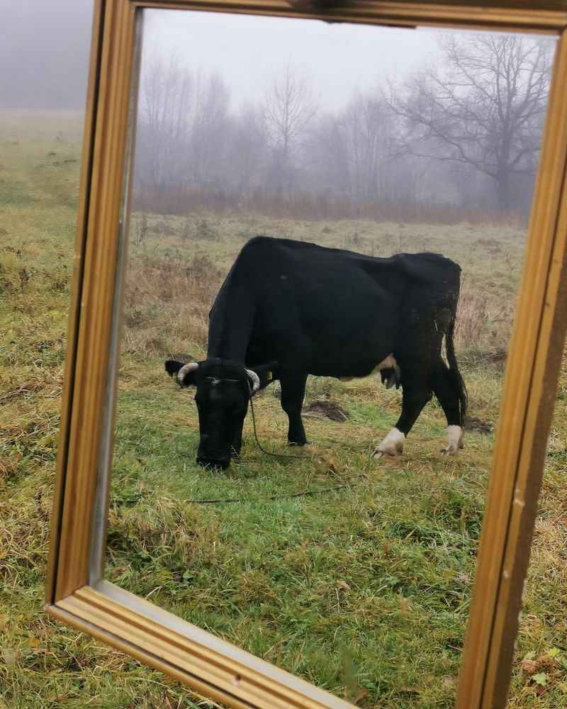 Photograph by Мария Бартош