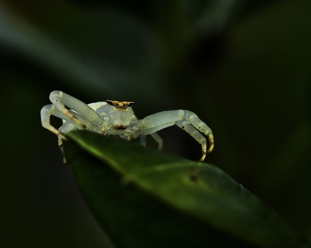 Photograph by Soumabha Chakraborty