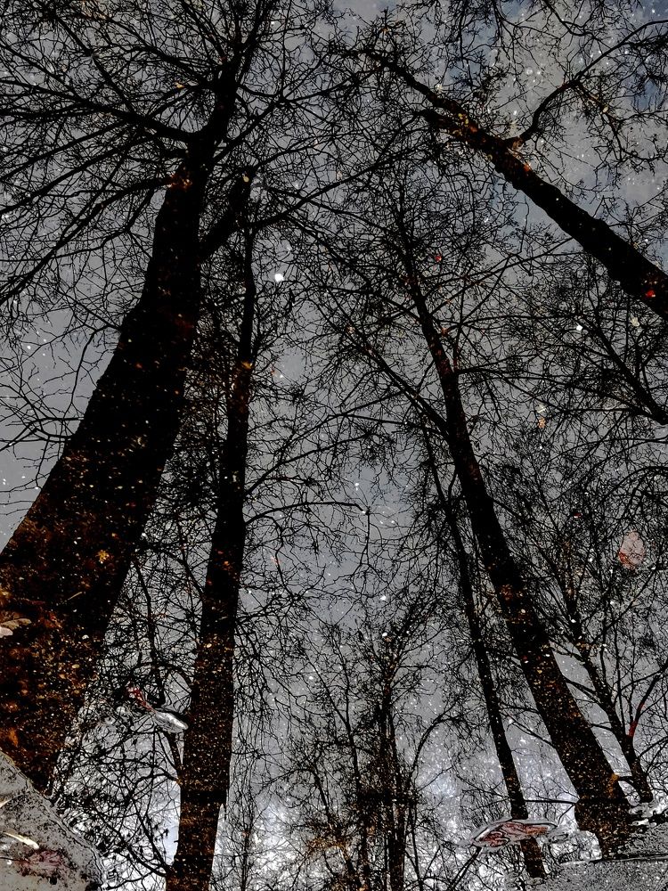 Photograph by Мария Бартош