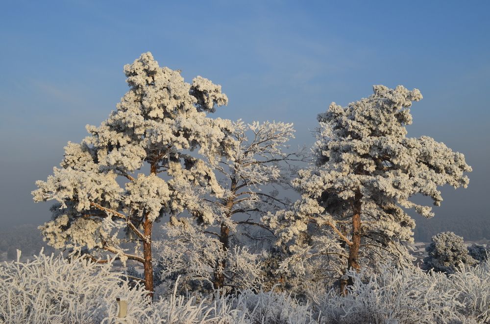 Photograph by Елена Кожевникова
